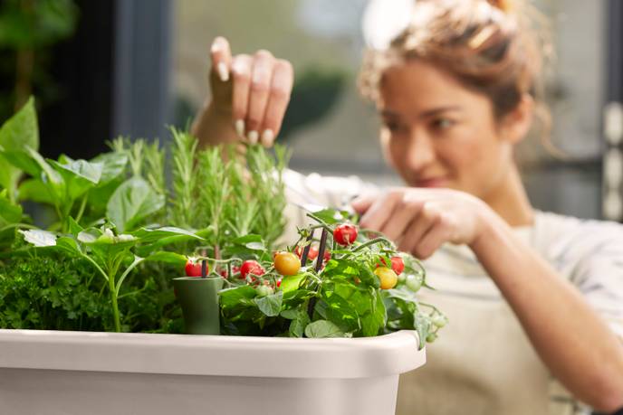 noa grow table warm grey